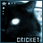 iconhell_faintintensity_cricket