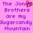 Pixelated text on a pink background with purple letters and one red heart symbol replacing the 'o' in Jonas.
