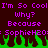 Pixelated text in purple on dark brown background with green flame-like shapes at bottom, repeating phrases and username.