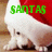 A pixelated image of a small white animal wearing a red and white Santa hat, with green text reading "SANTAS LITTLE HELPER" across four