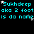 Pixelated cyan text repeats 'Sukhdeep aka 2 foot is da name' across three on a black background with scattered white stars