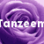 A static image with four quadrants: purple rose, red hearts, green flower, and gray space.