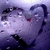 A pixelated anime-style character with closed eyes and a red mark on the cheek, shown in three where the head shifts slightly left to right