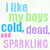 Pixelated text in pastel colors reads 'I like my boys cold, dead, and SPARKLING' on a light background.
