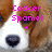 A dog's face with brown and white fur, black nose, and dark eyes, overlaid with pink text in multiple sections.