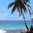 Pixelated beach scene with palm tree against blue sky and ocean, no visible text or human figures.