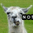 Four- of a white llama with gray horns against green grass, each displaying distinct text overlays