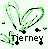 Pixelated green and black icon with abstract shapes resembling a stylized 'T' or plant form above the text "Tierney" on light background.