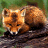 A pixelated image of a fox on the left and a stylized bear outline with text on the right.