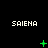 Pixelated green symbols animate above repeated 'SAIENA' text on a black background, with symbols changing from plus to star to X and then to dots.