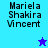 Pixelated text 'Mariela Shakira Vincent' appears on two blue backgrounds with a star icon changing color between frames.