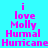 A static digital image with a bright cyan background and pink text reading 'i love Molly Humal Hurricane' in three , where the middle 's 'Humal' is partially obscured by yellow rectangular overlays