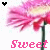 Pixelated pink flower with green stem, two heart symbols above it, and 'Sweet' text below in varying styles.
