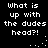 Pixelated text repeats 'What is up with the dudes head?!' across a black background with white dots forming partial circular patterns.