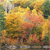 A pixelated static image with a warm color palette of yellow, orange, and green hues, featuring indistinct shapes and no clear subjects or text.