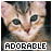 A 48x48 pixel animated buddy icon featuring a close-up of a kitten's face with subtle animation changes between two frames, labeled "ADORABLE" in blocky text below the image.