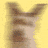 Animated sequence of a dog's head in six on yellow background with text "Because of Winn-Dixie" at bottom left