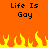 Pixelated orange background with black text "Life Is Gay" repeated twice and yellow-orange flames at the bottom.
