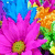 A vibrant pixelated flower with pink petals and a yellow center surrounded by blue, orange, green, and purple elements.