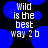 Pixelated text reads "Wild is the best way 2 b" over blue circular shapes on a black background.