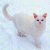 Static pixelated image of a light-colored cat with red ears and nose against a pale blue background.