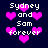 Pixelated text 'Sydney and Sam forever' surrounded by pink hearts on a dark blue background, with animated heart shapes changing position.