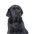 Pixelated grayscale image of a dog with a smooth coat, sitting upright against a plain white background, facing forward with ears folded back.