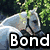 A four- shows horse images with text overlays: top-left white horse, top-right black horse, bottom-left brown horse, bottom-right empty gray