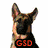 Six German Shepherd dog images arranged in a with text labels: GSD, loving, Watchful, family, loyal, Cute