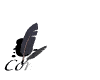 Animated sequence showing a feather and inkwell icon with changing text beneath it, transitioning from 'Comm' to 'Comments'