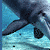 Animated sequence of two dolphins swimming underwater with blue water background, one dolphin in foreground and another partially visible behind it.