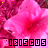 iconhell_hibis