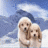 Animated sequence of two light-colored puppies against a blue sky with clouds and dark mountains, showing sequential pose changes.