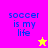 A four-quadrant with text and stars on solid backgrounds