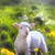 Pixelated image of a light-colored sheep with pink ears standing in a green field with yellow flowers.