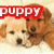 A four- of pixelated puppy images with red text overlays, each showing different poses and expressions