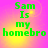 Green pixelated text "Sam Is my homebro" on a pink and yellow gradient background with subtle circular patterns.