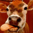 Pixelated cow image with pink background and white text reading 'Your Mom Thinks I'm HOT!' in four sections.