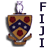 Pixelated icon featuring a shield with red and brown sections, dark blue accents, and white circular details; vertical text 'FIJI' appears to the right.