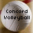 Two side-by-side circular icons with a white volleyball background, each displaying distinct black pixelated text.