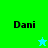 Four -aligned display the name 'Dani' with a star icon changing color between light blue and green on a bright green and cyan background