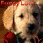 Four- of dog images with text overlays: top-left puppy, top-right teddy bear, bottom-left black-and-white dog, and empty bottom-right