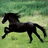 A pixelated image of a black horse running on green grass with a blue background displaying text.