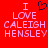Red background with pixelated text reading "I LOVE CALEIGH HENSLEY" in light pink, featuring a dark purple heart symbol replacing the word "LOVE" in the left