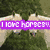 Six show horses in various poses with overlaid text and symbols: 'I LOVE HORSES!', 'Gig', 'is', 'My', 'Life!!!', and five hearts