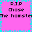 Pixelated icon with pink background, cyan border, and repeated text elements including 'R.I.P', 'Chase', and 'The hamste' in black font.
