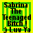 Green and yellow pixelated text icon with 'Sabrina The Teenaged Bitch! ) Luv Ya' repeated across four quadrants.