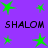 Purple background with green star shapes and black text reading 'SHALOM' repeated twice horizontally.