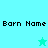 Pixelated text 'Born Name' appears above a star icon on cyan backgrounds, with the star changing color between frames.