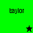 Green and black pixelated icon with "baylor" text on two green sections, a black star in the top-left corner, and a glowing green star at the bottom-right of the black section.